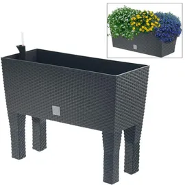 Prosperplast Rato Case High 80 x 33 x 62 cm anthrazit