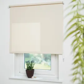 LIEDECO Seitenzugrollo Uni 82 x 180 cm cream