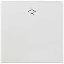 Siemens 5TG71410TW20 DELTA style Wippe mit Symbol Licht, titanweiß