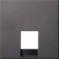 MERTEN Zentralplatte anthrazit MEG4211-0414
