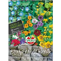 Tom-Garten Schlingpflanzen-Mischung 'Himmelsstürme'