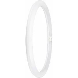 Osram LED-Röhre G10q 24 W 6500 K 1 St.