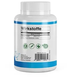 vitasanum Lactase 4500 FCC Tabletten 100 St.