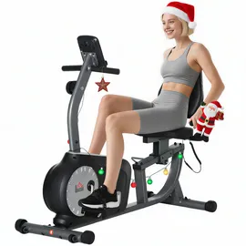 Homcom Heimtrainer Fitnessrad schwarz/silber
