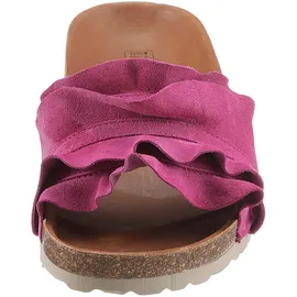Verbenas Rocio Roda fuchsia 36