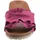 Verbenas Rocio Roda fuchsia 36