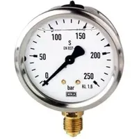 Riegler Glyzerinmanometer, CrNi-Stahl, G 1/4 unten, 0 - 315,0