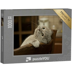 puzzleYOU Puzzle Puzzle 1000 Teile XXL „Kleine verspielte Katze“, 1000 Puzzleteile, puzzleYOU-Kollektionen Katzen-Puzzles