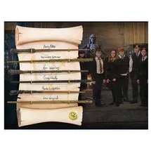 The Noble Collection Noble Collection Harry Potter Zauberstab-Kollektion