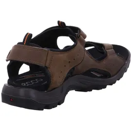 ECCO Offroad Herren nutmeg brown 43