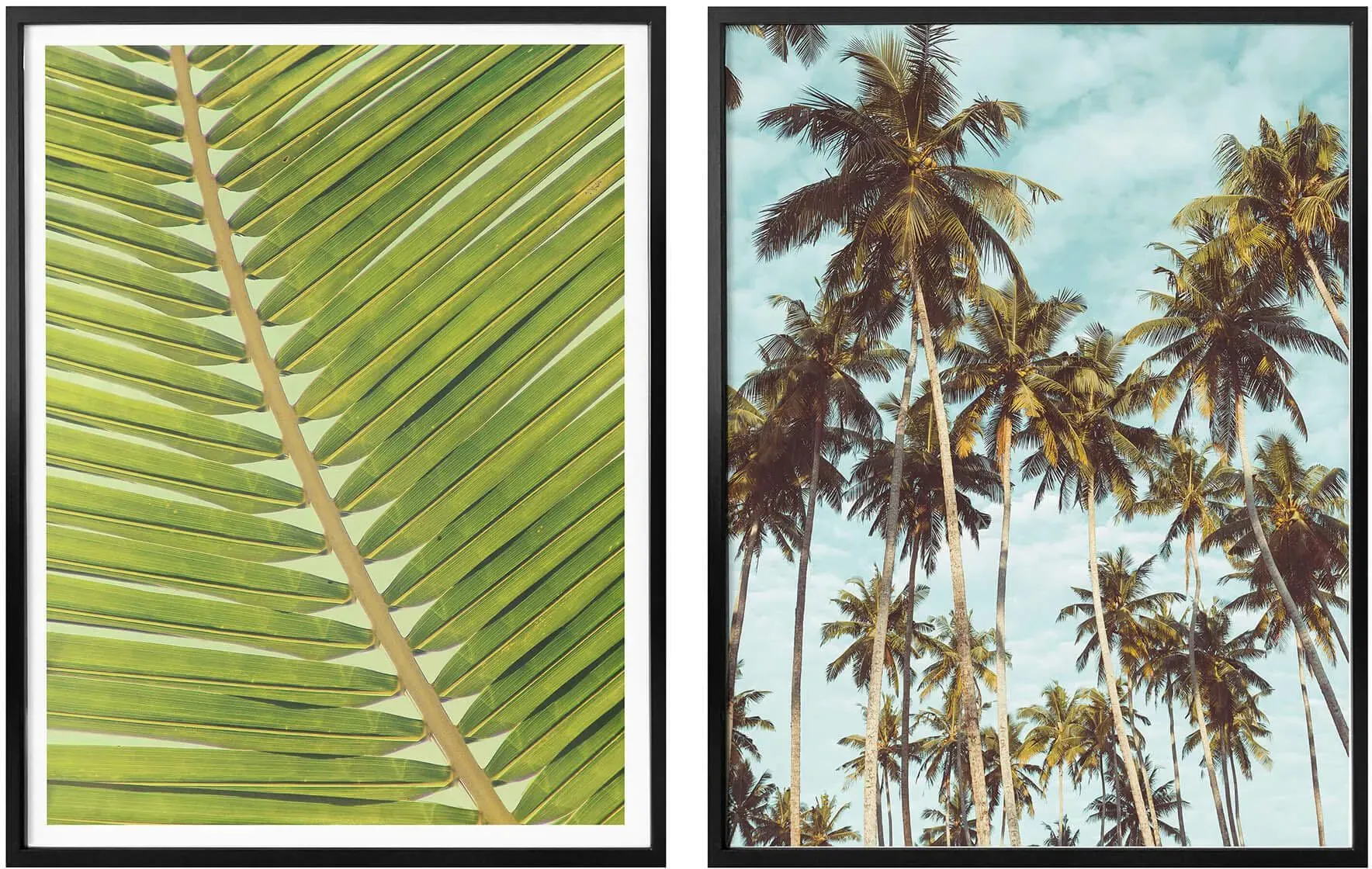 Wall-Art Poster »Palmenblätter Miami Palmen Urlaub«, (Set, 2 St.), Collage mit Bilderrahmen Wall-Art bunt