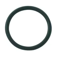 Kludi O-Ring 20 x 2