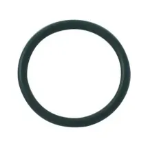 Kludi O-Ring 20 x 2