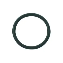Kludi O-Ring 20 x 2