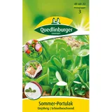 Quedlinburger Portulak