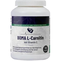 L Carnitin 500