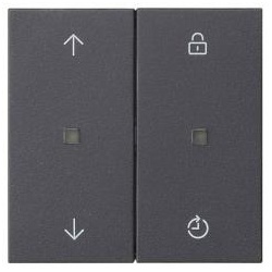 Gira System 3000 Bedienaufsatz Memory (anthrazit)