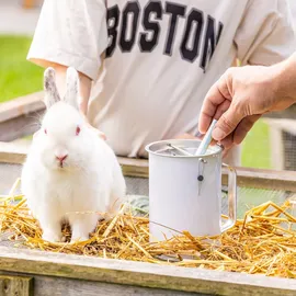 HMF 45000-07 Spendendose mit Griff, Spardose, Sammelbüchse, 14,5 x 8 cm Lichtgrau