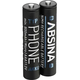 Absina Micro AAA 800 mAh 2 St.