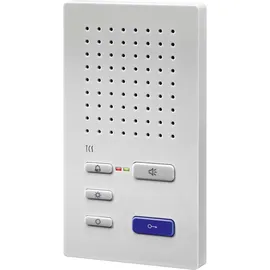 TCS Freisprechstelle Standard ISW3030-0140