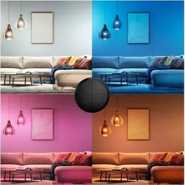 Philips Hue Tap Dial Schalter Schwarz