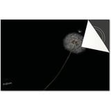 Induktionsschutz von Dietrix - Schutzmatte 81x52cm - Pusteblume Schwarz Weiß - Base - Für Induktionskochfeld/Induktionsherd - Herdabdeckung Ceranfeld - Helle Unterseite - Herdabdeckplatte