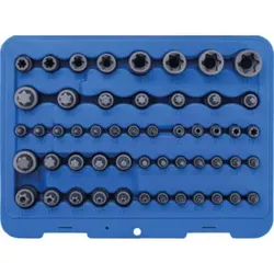 BGS Bit-Einsatz- und Steckschlüssel-Einsatz-Satz E-Profil / T-Profil (für Torx) / T-Profil (für Torx) mit Bohrung / TP-Profil (für Torx Plus) 52 teilig