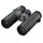 Swarovski Optik CL Companion 10 x 30 B anthrazit + Northern Lights