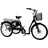 Sachsenrad T3A Trio Edition 2025 26 Zoll RH 50 cm Damen schwarz