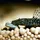 JBL Pleco Wafer M 1 l