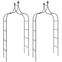 vidaXL Rosenbogen 120 x 38 x 260 cm Schwarz