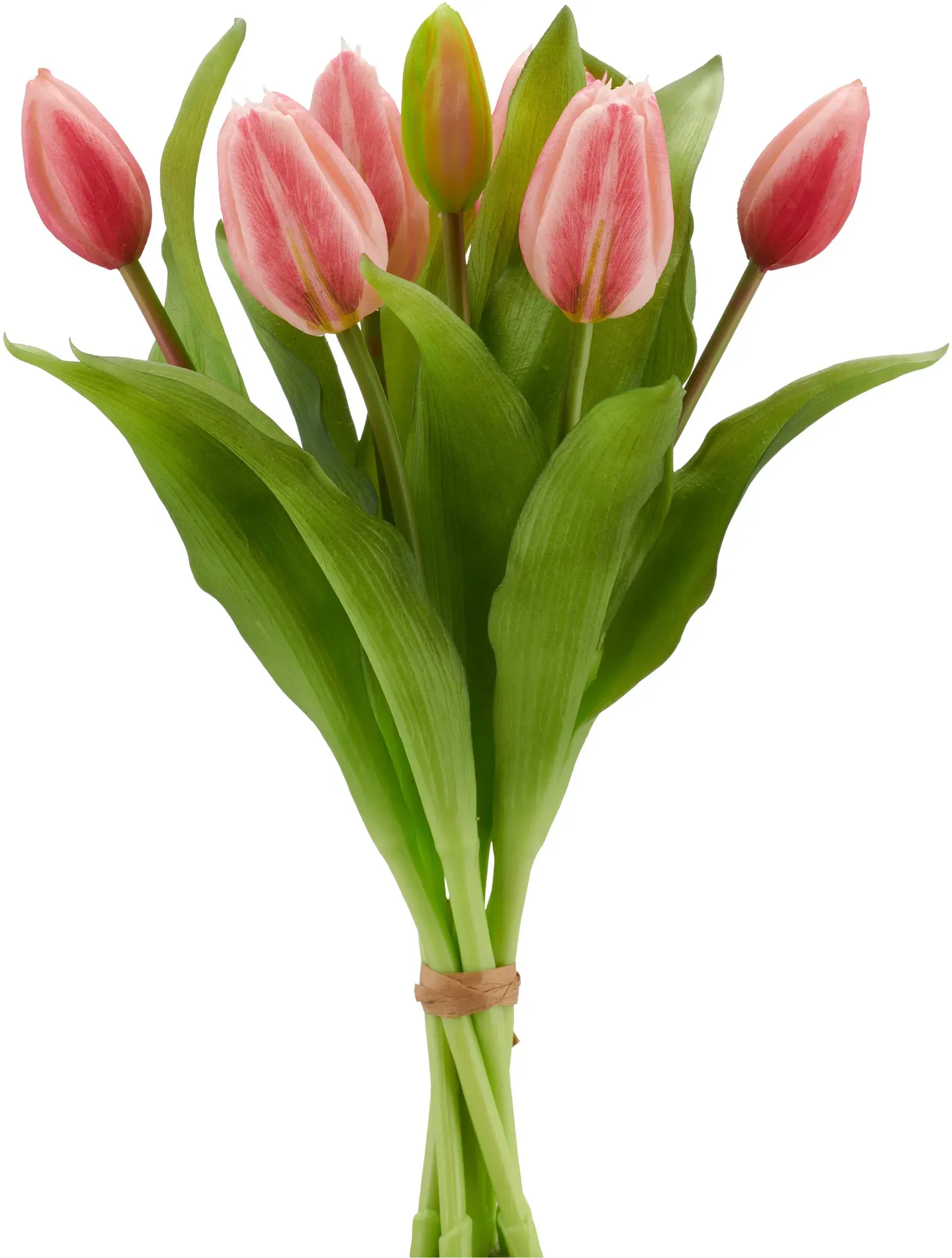 Kunsttulpe CREATIV GREEN 