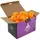 Joola Magic ABS orange