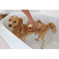 Kerbl MagicBrush Badebürste für den Hund - transparent - transparent