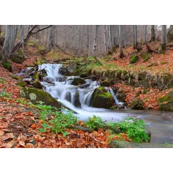 Fototapete PAPERMOON "Fluss durch Wald", bunt, B:4,00m L:2,60m, Vlies, Tapeten