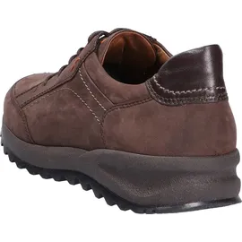 WALDLÄUFER Helle - braun