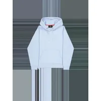 Alpha Industries DTM Alpha Hoodie blau 2