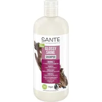 Sante Glanz Shampoo Bio-Birkenblatt & Pflanzliches Protein 500 ml