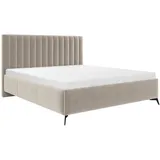 Mirjan24 Morris 180 x 200 cm Beige