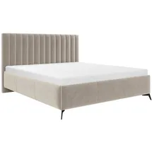 Mirjan24 Morris 180 x 200 cm Beige
