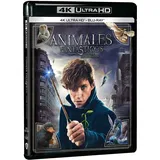 Warner Fantastic Beasts: The Crimes of Grindelwald - Animales Fantásticos: Los crímenes de Grindelwald (4K Ultra-HD)