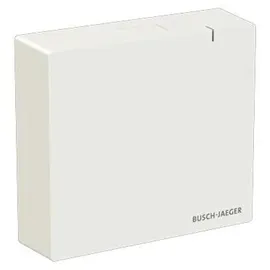 Busch-Jaeger System Access Point SAP.13