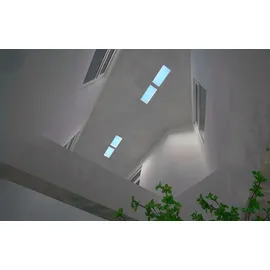 Xiaomi Yeelight Pro Dachleuchte P21 Dachleuchte P1