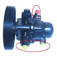 Lizarte Servopumpe Schwarz für CITROEN Xantia