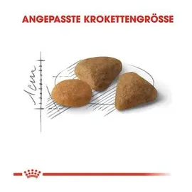 Royal Canin Savour Exigent 2 kg