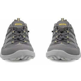 ECCO Terracruise LT Herren Grau 40