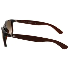 Ray-Ban Andy RB4202 607313 55-17 brown/brown gradient