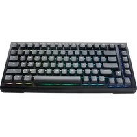 Ducky Tinker 75, Gaming USB, US Englisch Schwarz