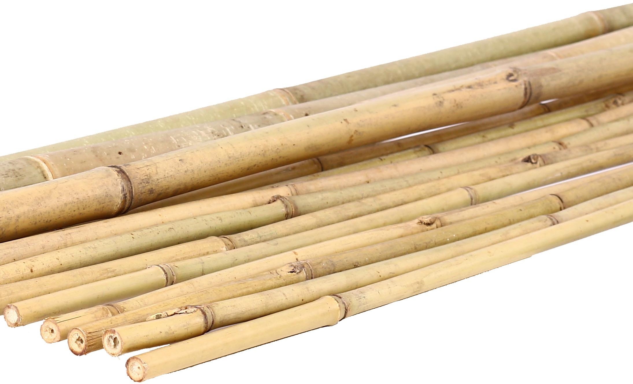 bambusrohre