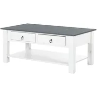 MID.YOU Couchtisch Ines, Grau, Weiß, Metall, Kiefer, 2 Schubladen,